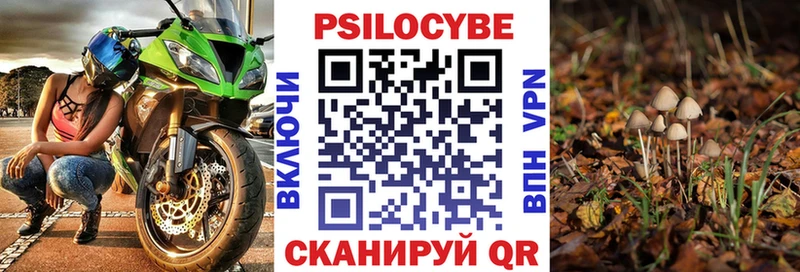 Псилоцибиновые грибы Psilocybe Нахабино
